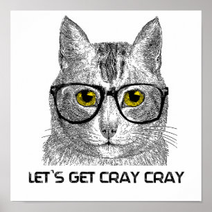 Lasst uns Cray Cray holen Poster