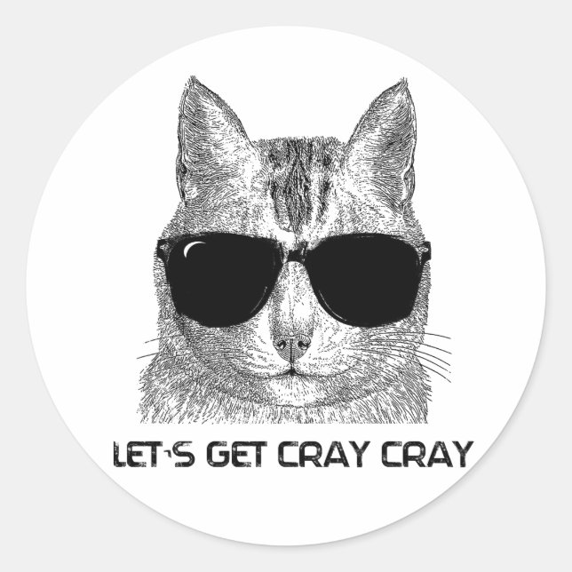 Lasst uns Cray Cray holen Runder Aufkleber (Vorderseite)