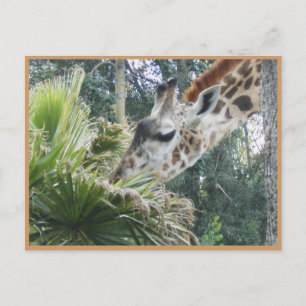 Lasst uns mal ein bisschen essen gehen! postkarte