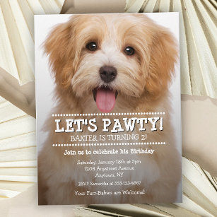 Lasst uns Pawty Pet Foto Geburtstagsparty feiern Postkarte
