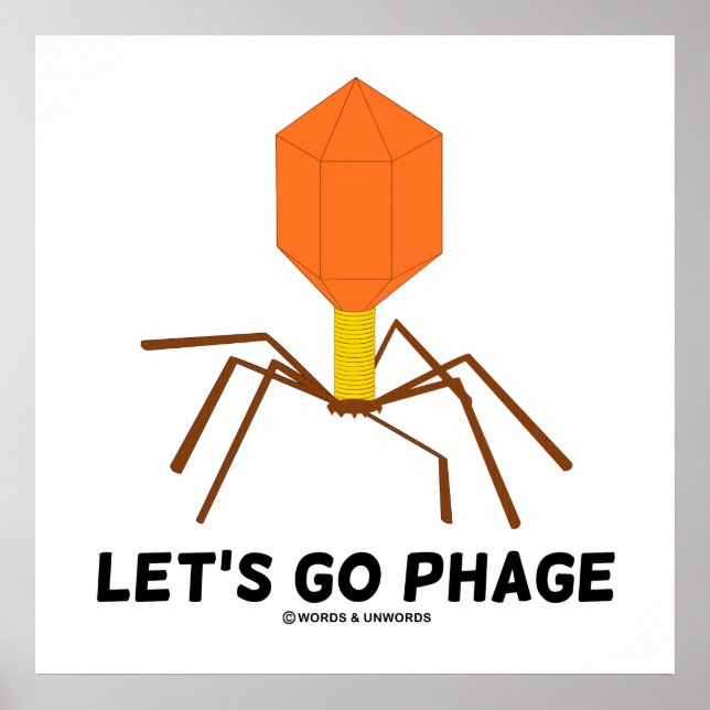 Lasst uns Phage-Virus-Bakteriophage gehen Poster (Vorne)