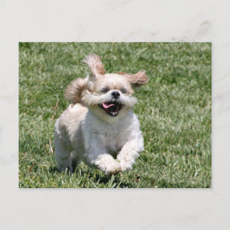 Lasst uns zusammen spielen postkarte