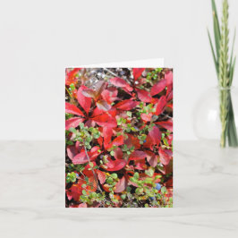 Late Summer in Alaska - 4" x 5.6" Notecard Karte