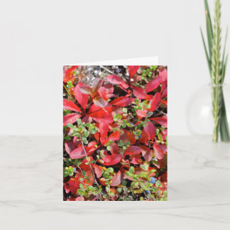 Late Summer in Alaska - 4" x 5.6" Notecard Karte