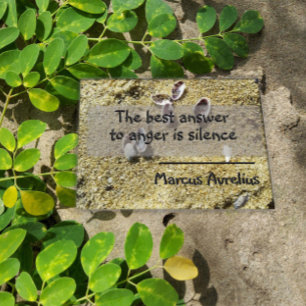 Latein Zitat Schweigen Philosophie Poster