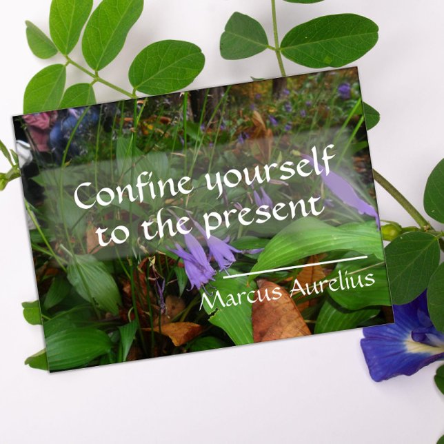 Lateinische Weisheit Zitat Grünplakat Poster (Von Creator hochgeladen)