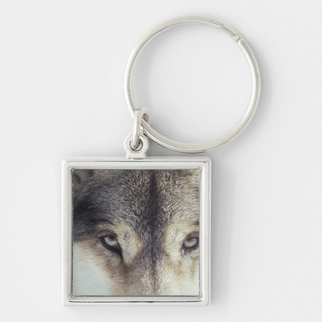 Lateinischer Name: CanisLupus Schlüsselanhänger (Vorne)