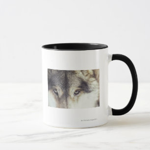 Lateinischer Name: CanisLupus Tasse