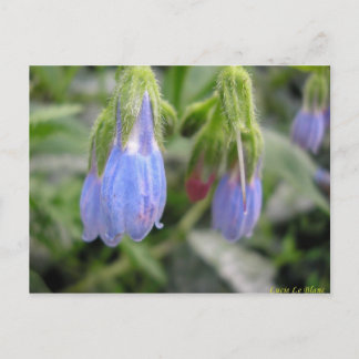 Lateralflucht Postkarte