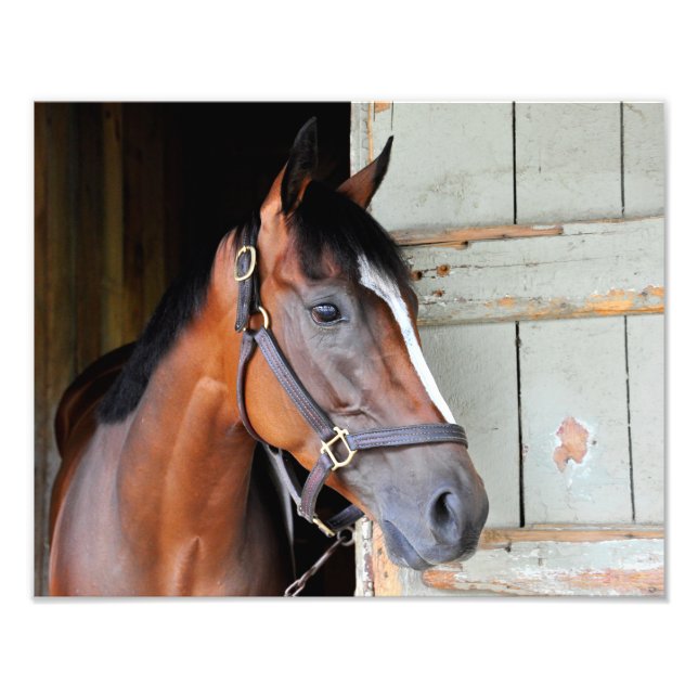 Latigo Trail Fotodruck (Vorne)