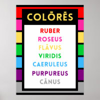 Latin Colors Poster - Latin Teacher Gift