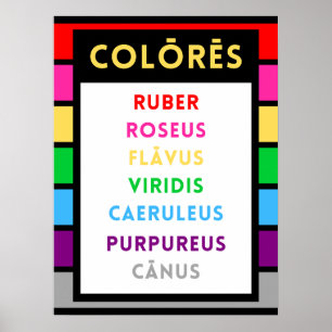 Latin Colors Poster - Latin Teacher Gift