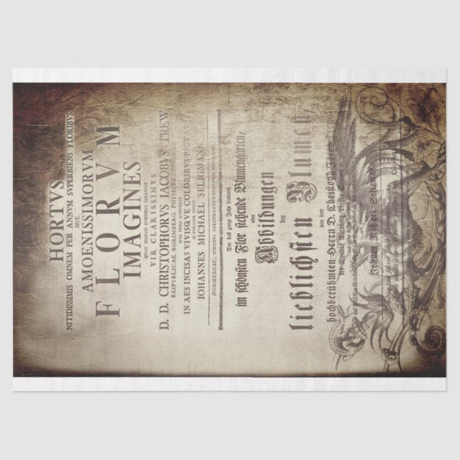 Latin scrollwork seidenpapier (Vorderseite)