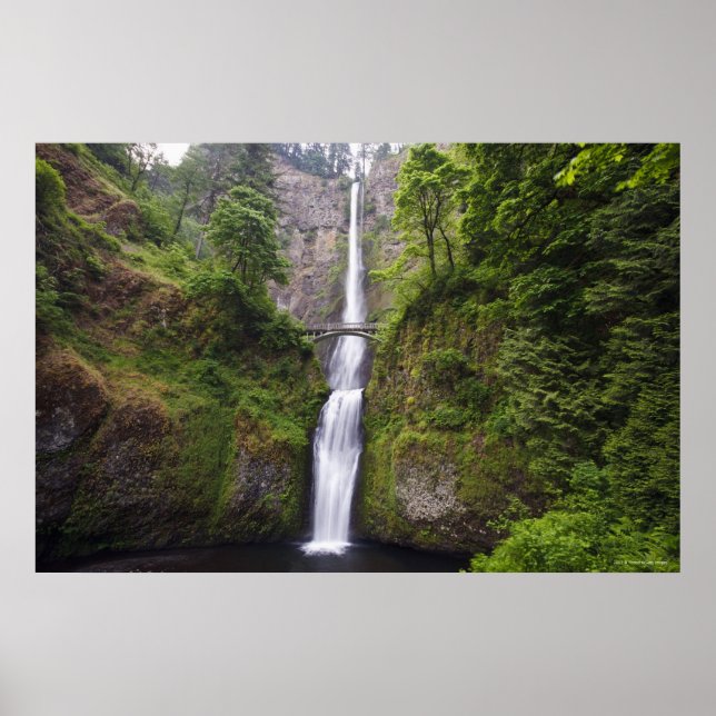 Latourell Falls & Bridge Columbia River Gorge Poster (Vorne)