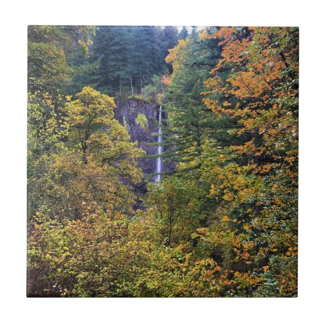 Latourell Falls, Columbia River Gorge, Oregon Fliese (Vorderseite)