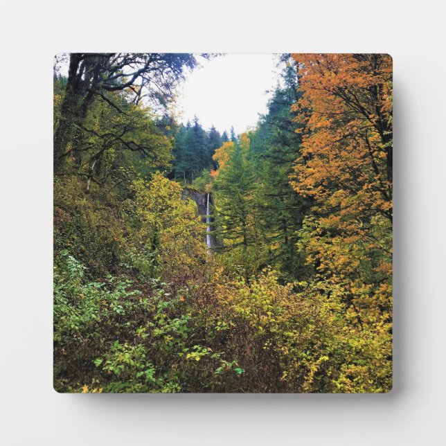 Latourell Falls, Columbia River Gorge, Oregon Fotoplatte (Vorderseite)