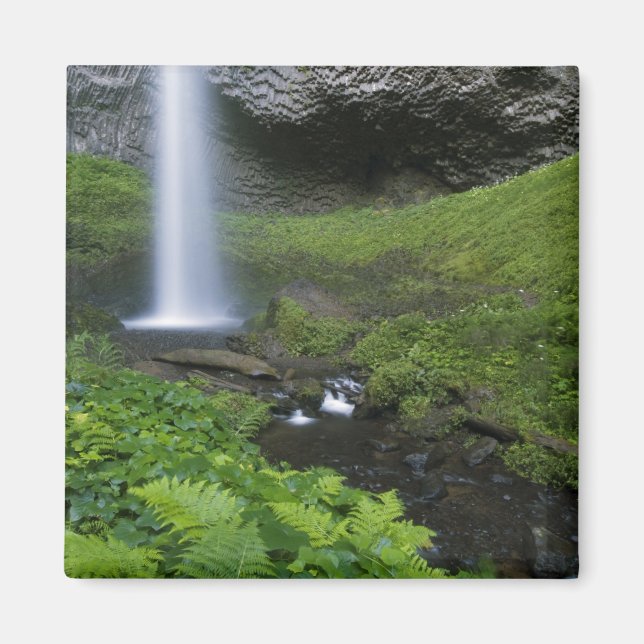 Latourell Falls, Columbia River Gorge, Oregon, Magnet (Vorne)