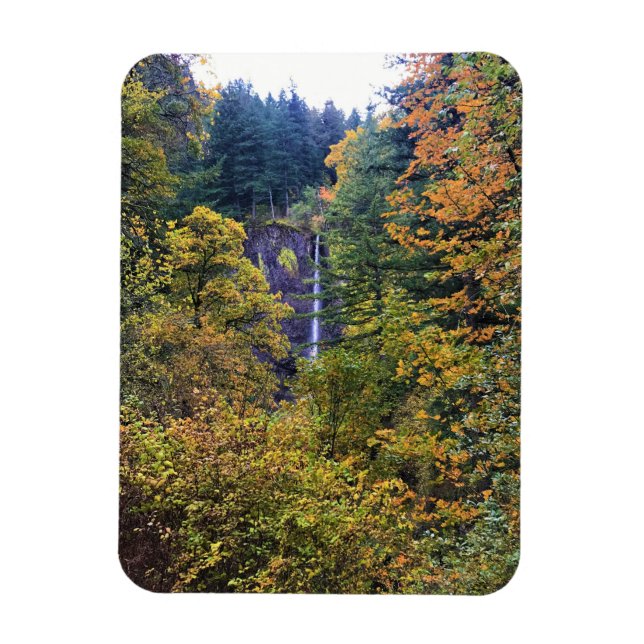 Latourell Falls, Columbia River Gorge, Oregon Magnet (Vertikal)