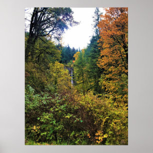 Latourell Falls, Columbia River Gorge, Oregon Poster