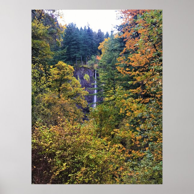 Latourell Falls, Columbia River Gorge, Oregon Poster (Vorne)