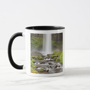 Latourell Falls, Columbia River Gorge, Oregon, Tasse