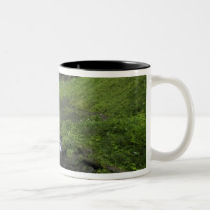 Latourell Falls, Columbia River Gorge, Oregon, Zweifarbige Tasse