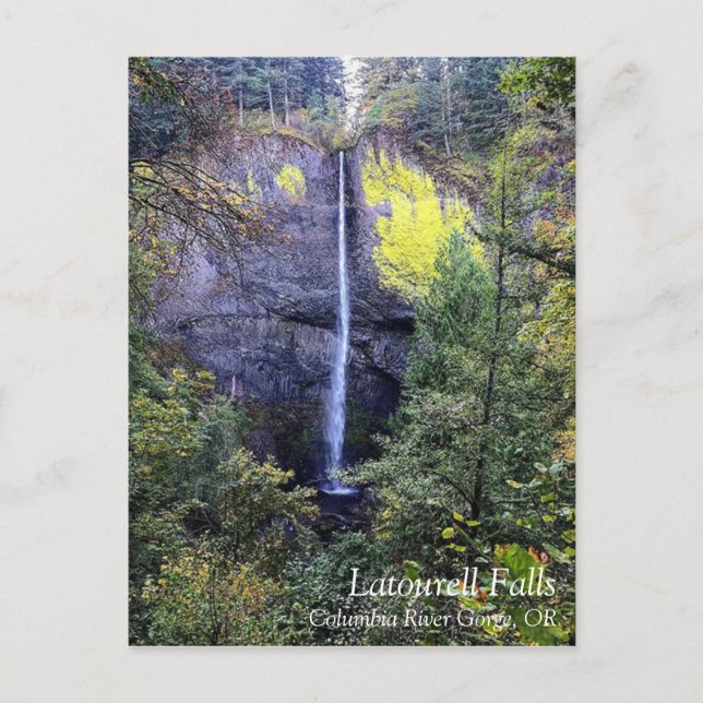 Latourell Falls, Oregon Feiertagspostkarte (Vorderseite)