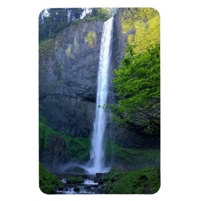 Latourell Falls, Oregon Magnet (Vertikal)