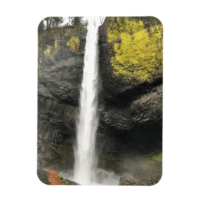Latourell Falls, Oregon Magnet (Vertikal)