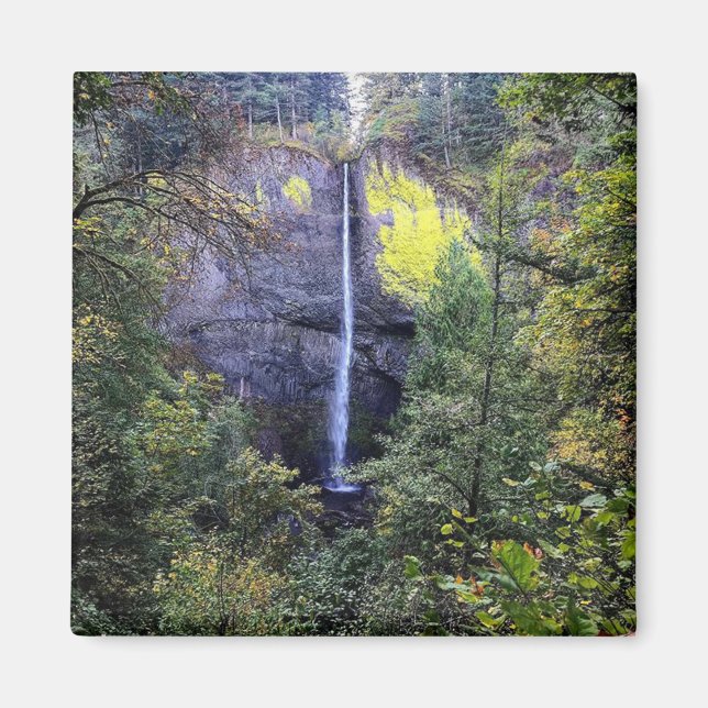 Latourell Falls, Oregon Magnet (Vorne)