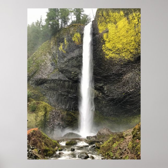 Latourell Falls, Oregon Poster (Vorne)