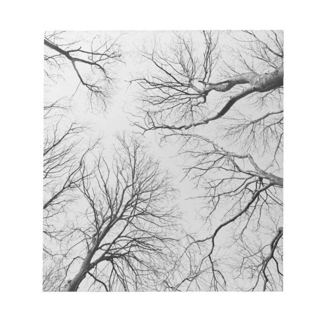 Laubbäume im Diebstahl Notizblock (Vorderseite)