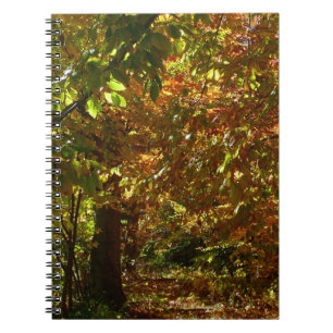 Laubdach des Herbstes II Gelbe Herbstfotografie Notizblock