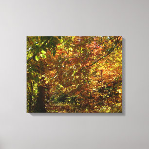 Laubdach des Herbstlaubs II Gelbe Herbstfotografie Leinwanddruck
