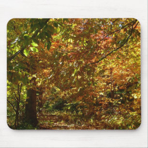 Laubdach des Herbstlaubs II Gelbe Herbstfotografie Mousepad