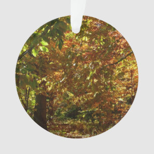 Laubdach des Herbstlaubs II Gelbe Herbstfotografie Ornament