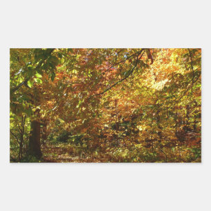 Laubdach des Herbstlaubs II Gelbe Herbstfotografie Rechteckiger Aufkleber