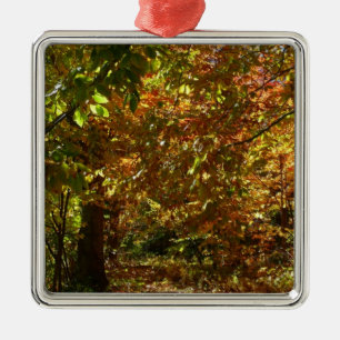Laubdach des Herbstlaubs II Gelbe Herbstfotografie Silbernes Ornament