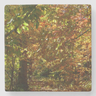 Laubdach des Herbstlaubs II Gelbe Herbstfotografie Steinuntersetzer