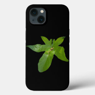 "Laubhafen: Ein kleiner grüner Frosch auf einem We Case-Mate iPhone Hülle