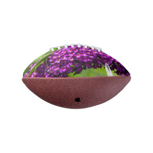 Laubheuschrecke Energie Football