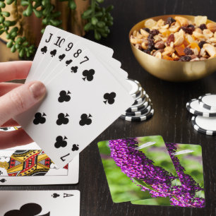 Laubheuschrecke Energie Spielkarten