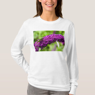 Laubheuschrecke Energie T-Shirt