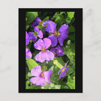 L'aubriète Postkarte