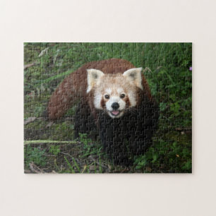 Laubsäge - roter Panda Puzzle