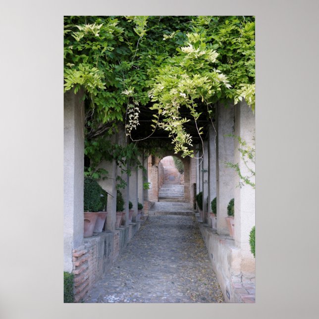 Laubüberwachsener Gehweg, Spanien Poster (Vorne)