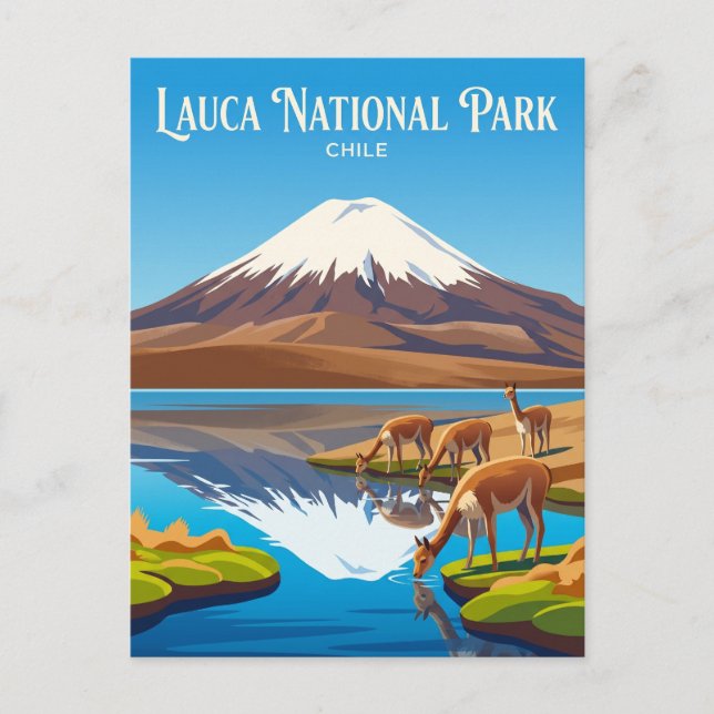Lauca-Nationalpark Chile Postkarte (Vorderseite)