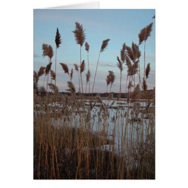 Laudholm Farm (Vorne)