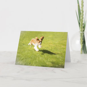 Lauf Puppy Lauf im Hof Grußkarte Karte