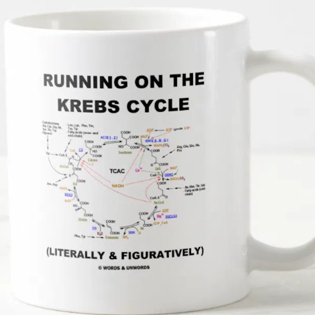Laufen auf dem Krebs-Zyklus (Science Spaß) Tasse (Biochemistry attitude mug for anyone who runs on the Krebs cycle (literally & figuratively)!)